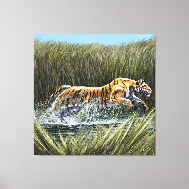 Tiger Splashing durch den Sumpf Triptych Acrylic Leinwanddruck (Vorderseite)
