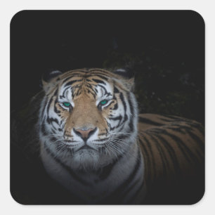 Tiger Sticker