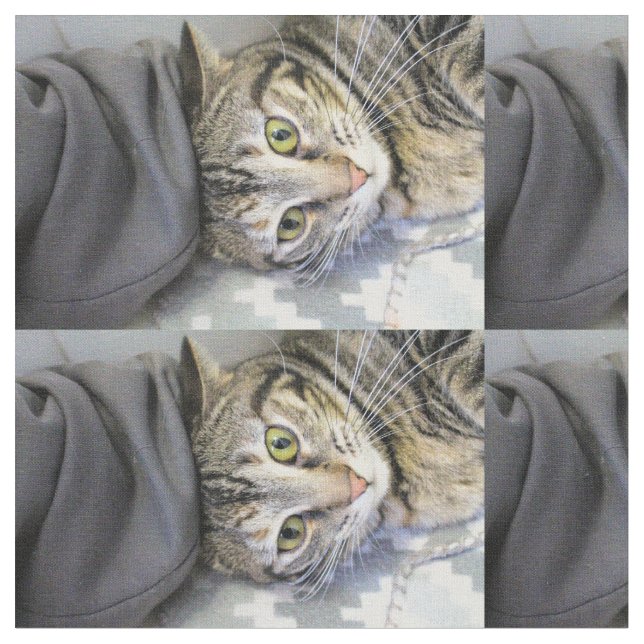 Tiger Stoff (Nahaufnahme)