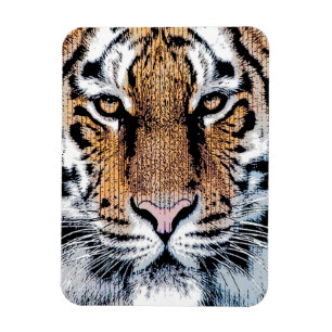 Tiger Streifen Portrait in Grafik-Press-Stil Magnet
