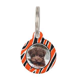 Tiger Strip Custumizable - Orange/Schwarz Haustiermarke
