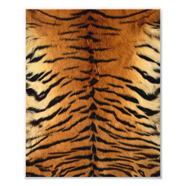 Tiger Strip Fur Print Fotodruck (Vorne)