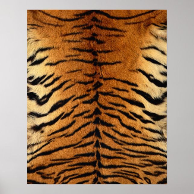Tiger Strip Fur Print Poster (Vorne)