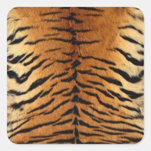 Tiger Strip Fur Print Quadratischer Aufkleber
