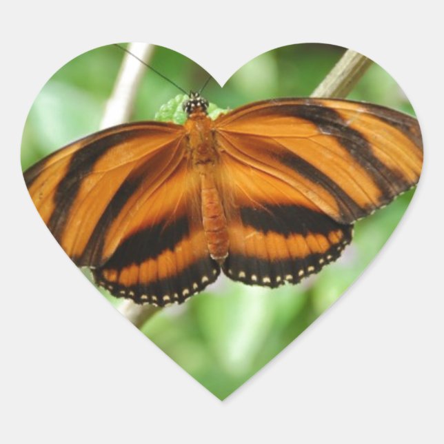 Tiger Stripe Butterfly Herz-Aufkleber (Vorderseite)