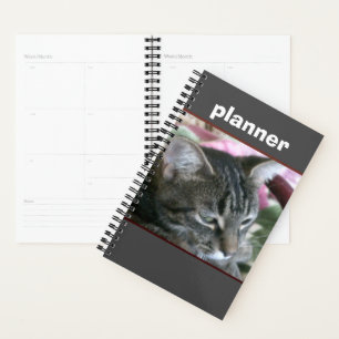 Tiger Stripe Kitty Planner Planer