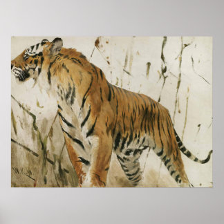 Tiger-Studie von Wilhelm Kuhnert Poster