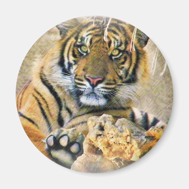 Tiger, Suche_ Magnet (Vorne)