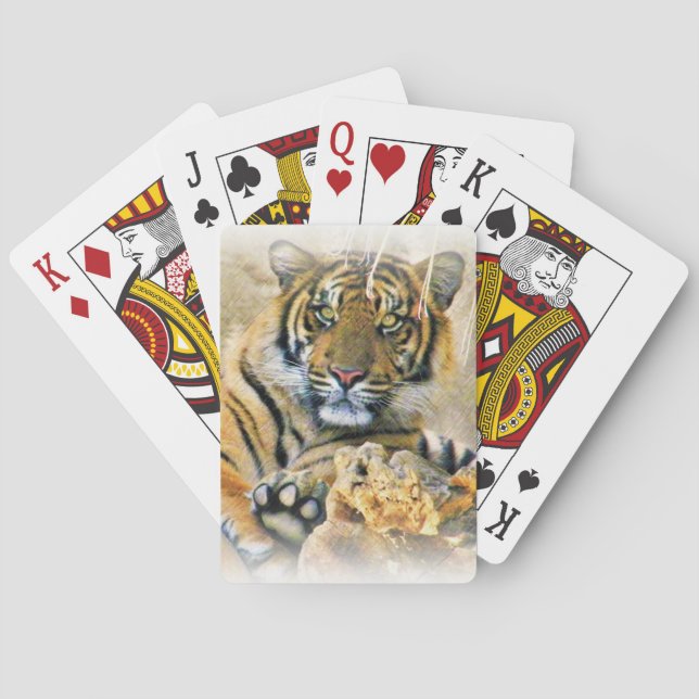 Tiger, Suche_ Spielkarten (Rückseite)