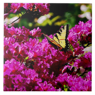 Tiger Swallowtail auf Azalee Fliese
