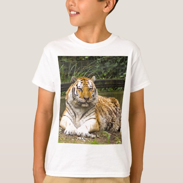 Tiger T-Shirt (Vorderseite)