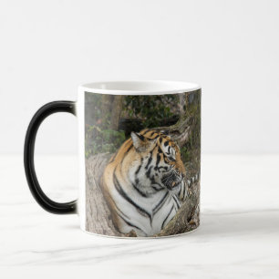 Tiger-Tasse Verwandlungstasse