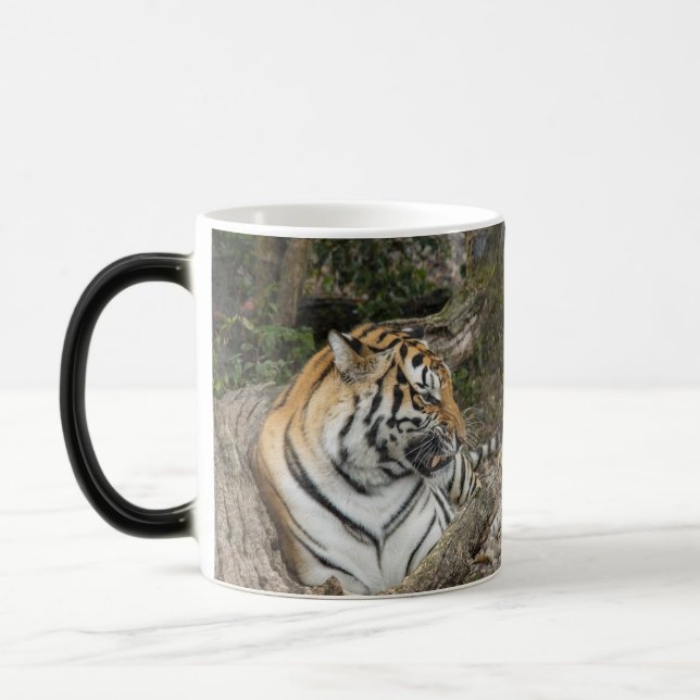 Tiger-Tasse Verwandlungstasse (Links)