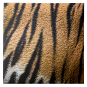 Tiger-Tier-Haut-Fell-Textur-Natur-Streifen-Muster Fliese