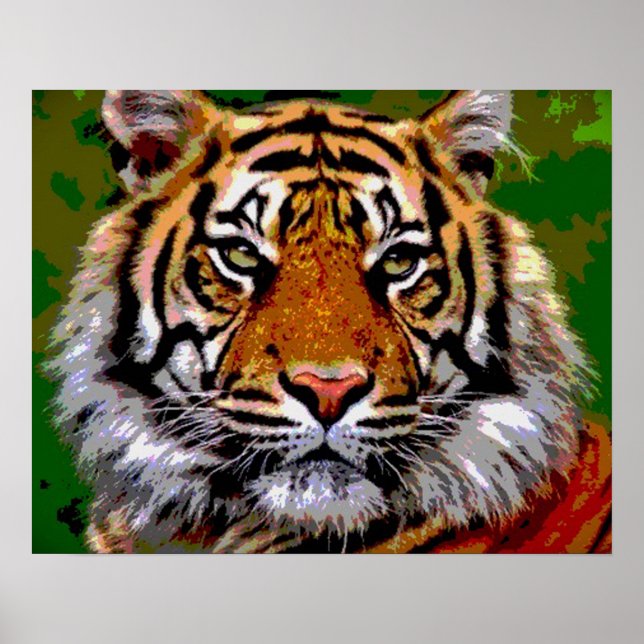 Tiger Tiger Poster (Vorne)