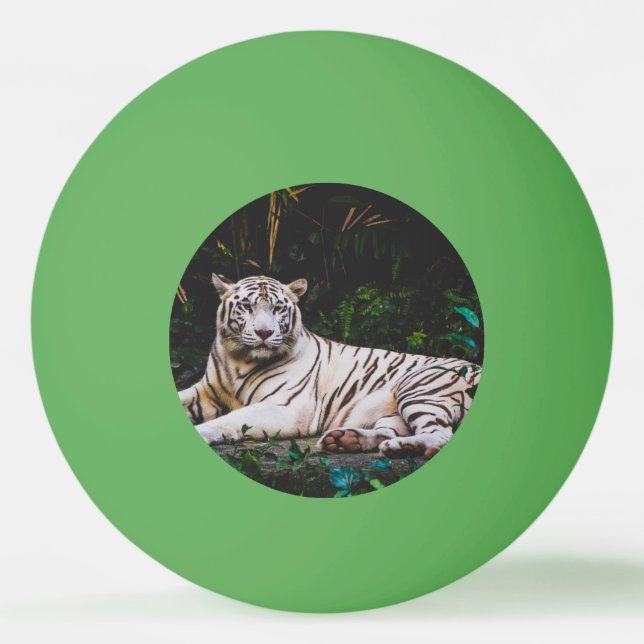 Tiger Tischtennisball (Vorderseite)