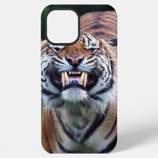 "Tiger Tooth" iPhone Hülle (Rückseite)
