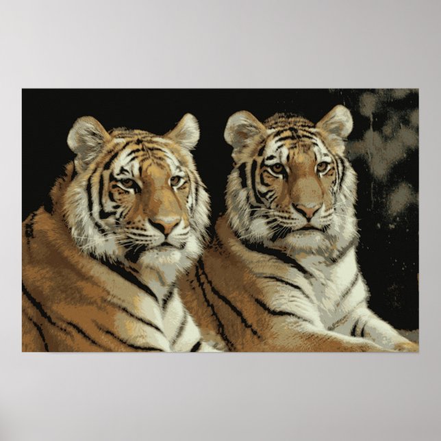 Tiger Twins Poster (Vorne)