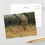 Tiger über die Uhr | Wilhelm Kuhnert Postkarte<br><div class="desc">Tiger on The Watch (1901) von Wilhelm Kuhnert ist ein bezauberndes Vintages Kunstgemälde, das einen Tiger in einem Augenblick wachsender Aufmerksamkeit zeigt. Der Tiger wird mit viel Liebe zum Detail dargestellt, von seiner mächtigen Muskulatur bis zu den lebhaften Streifen am Fell. Set in einer üppigen, natürlichen Umgebung, vermittelt das Kunstwerk...</div>