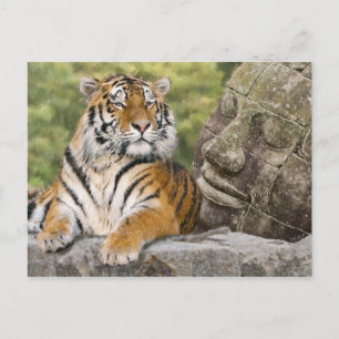 Tiger und buddhistischer Tempel Postkarte