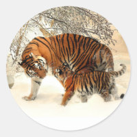 Tiger und Cub, Winterlandschaft,