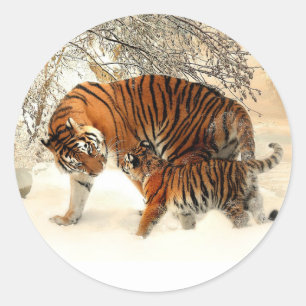 Tiger und Cub, Winterlandschaft, Runder Aufkleber