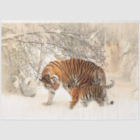 Tiger und Cube Art Wasserfarben