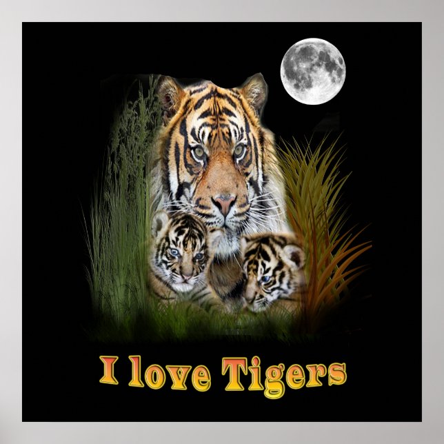 Tiger und Drehkreuze Poster (Vorne)
