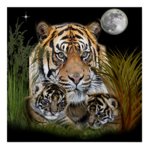 Tiger und Drehkreuze Poster