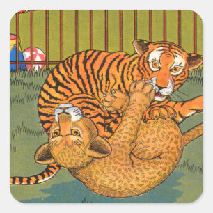 Tiger und Leoparden-Wrestling Quadratischer Aufkleber