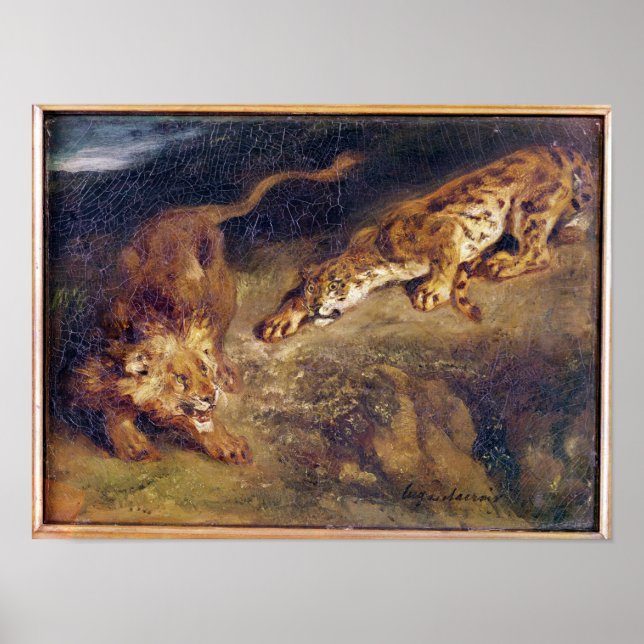 Tiger und Löwe Poster (Vorne)