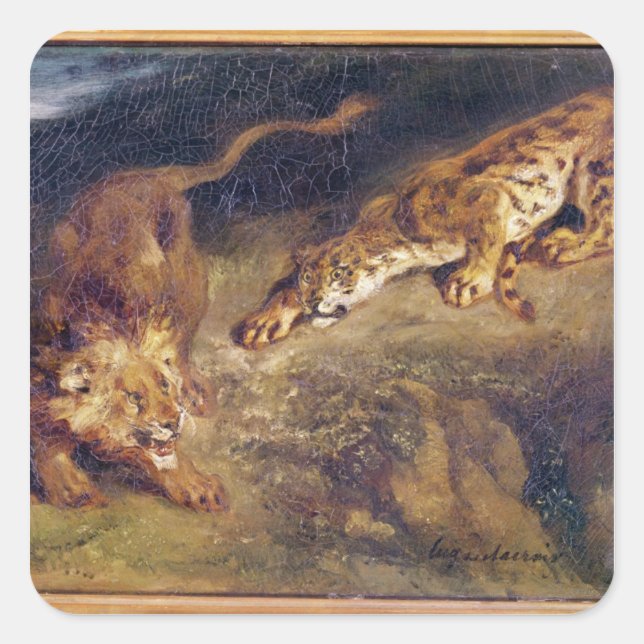 Tiger und Löwe Quadratischer Aufkleber (Vorderseite)