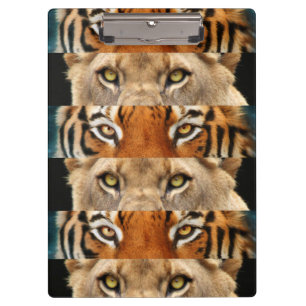 Tiger- und Löweaugen Foto Klemmbrett