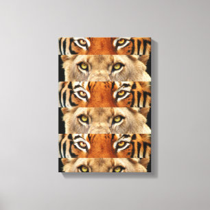 Tiger- und Löweaugen Foto Leinwanddruck