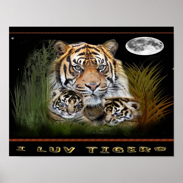 Tiger und Poster (Vorne)
