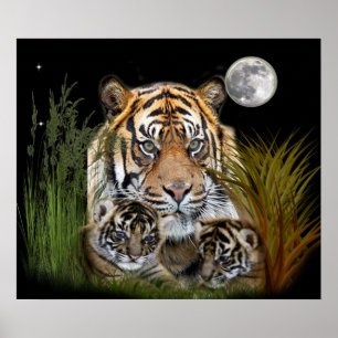 Tiger und Poster