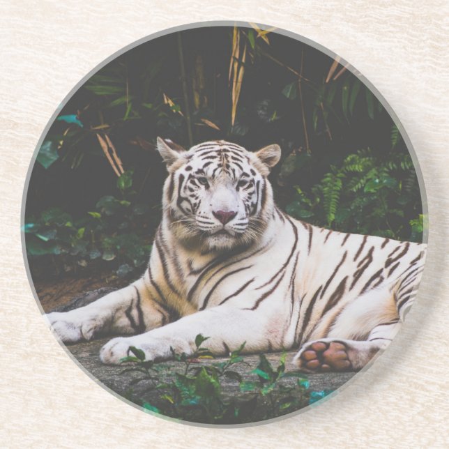Tiger Untersetzer (Vorne)