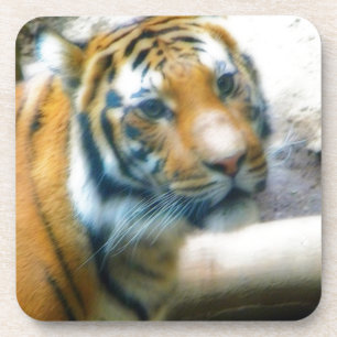 Tiger Untersetzer