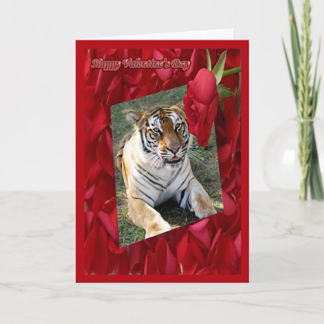 Tiger Valentine Card Feiertagskarte (Vorderseite)