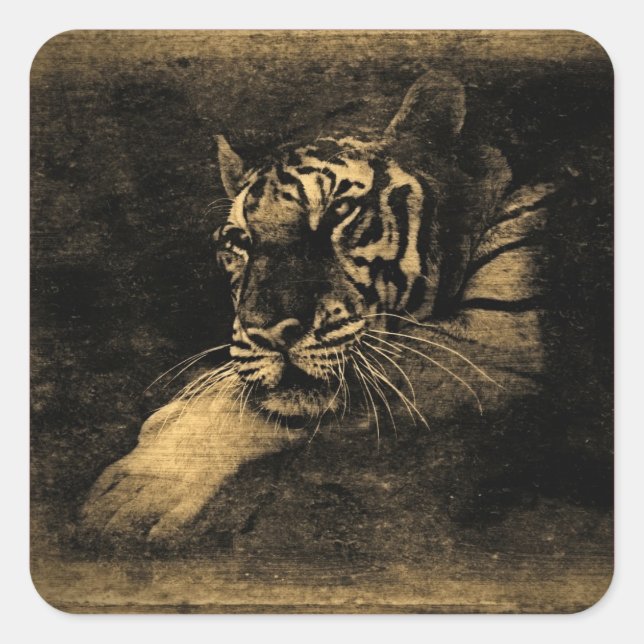 Tiger Vintag Art Sticker (Vorderseite)