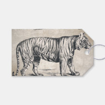 Tiger Vintag Wildlife Grunge Decorative
