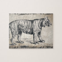 Tiger Vintag Wildlife Grunge Decorative