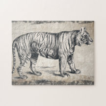 Tiger Vintag Wildlife Grunge Decorative