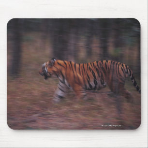 Tiger Walking durch Wald Mousepad