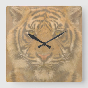 Tiger Wall Clock Quadratische Wanduhr