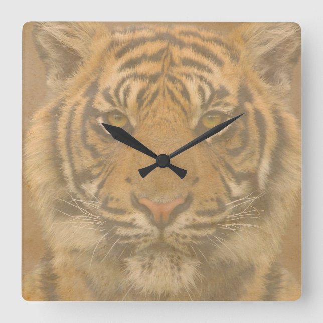 Tiger Wall Clock Quadratische Wanduhr (Vorderseite)