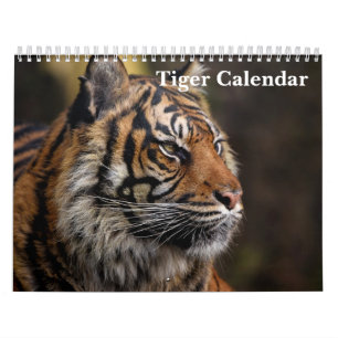 Tiger Wildtier 2027 Kalender