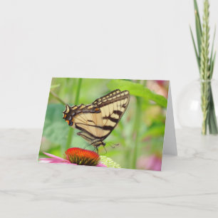Tiger Wings on Coneflower - Schmetterling Feiertagskarte