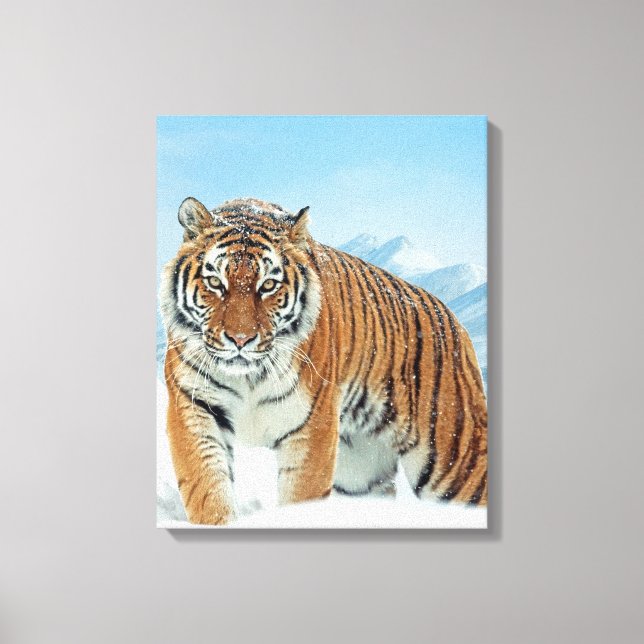 Tiger Winter Snow Mountains Natur Foto Leinwand (Vorderseite)