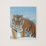 Tiger Winter Snow Mountains Tierisches Foto Puzzle<br><div class="desc">Tiger Winter Snow Mountains Tier Foto Jigsaw Puzzle.</div>